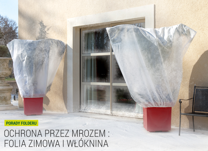 Ochrona przez mrozem: Folia zimowa i włóknina