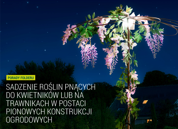 Sadzenie roślin pnących do kwietników lub na trawnikach w postaci pionowych konstrukcji ogrodowych