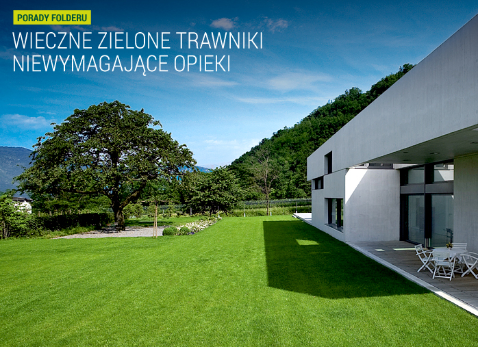 Wieczne zielone trawniki niewymagające opieki