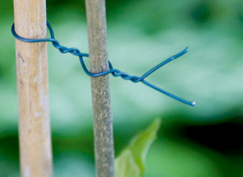Plasticized wire