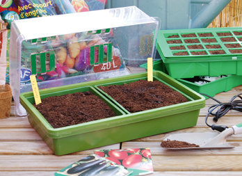 Heated mini-greenhouse for seedlings