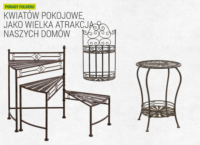 Kwiatów pokojowe, jako wielka atrakcja naszych domów