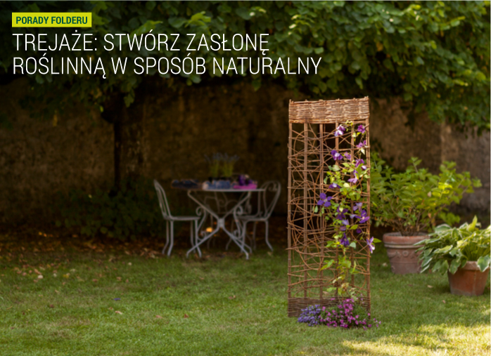 Trejaże: stwórz zasłonę roślinną w sposób naturalny