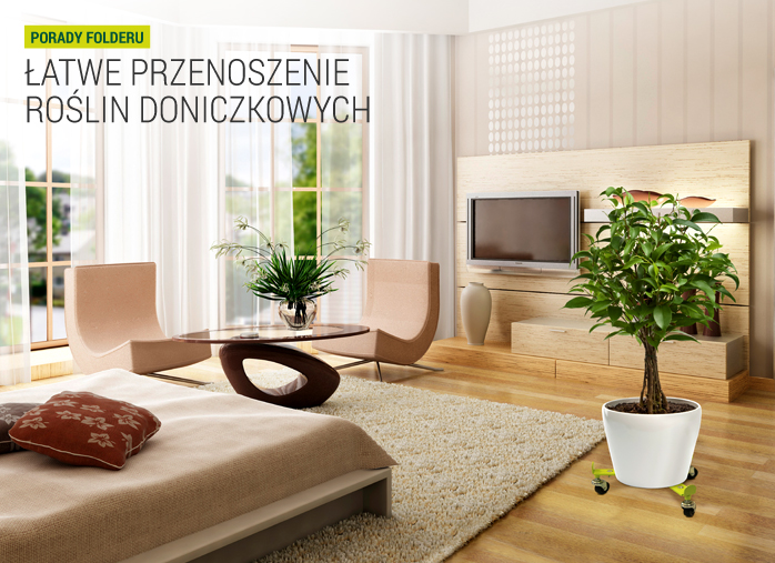 Łatwe przenoszenie roślin doniczkowych