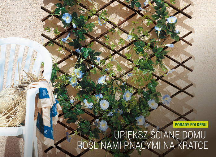 Upiększ ścianę domu roślinami pnącymi na kratce