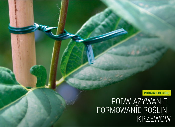 Podwiązywanie i formowanie roślin i krzewów