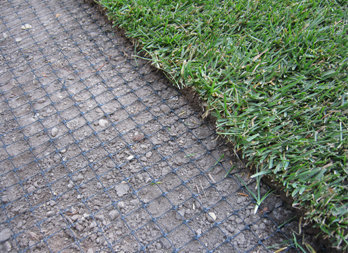 Mole net, environmentally friendly solultion against moles