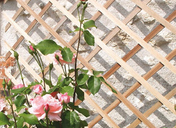 Rozsuwana, drewniana kratka ogrodowa do dekoracji ściany lub jako podpórka dla roślin w altanie