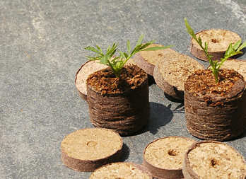 Dehydrated peat pellets