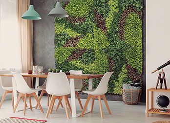 Zielona ściana roślin z mieszanymi liśćmi