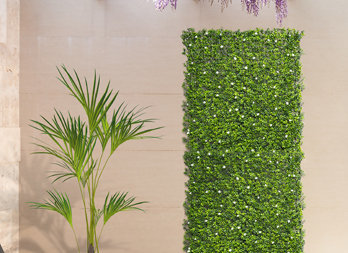 Dekoracyjna zielona ściana z jaśminem