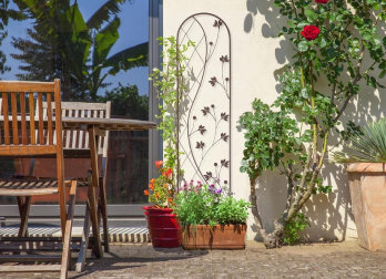 Metal trellis resting on the ground for climbing pants