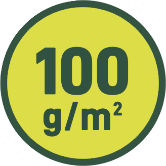 100 g/m2